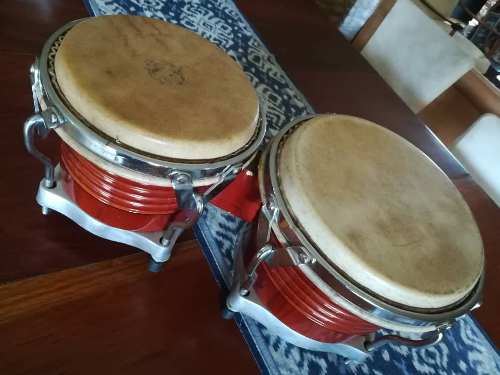 Bongos Y Paral Música Instrumento