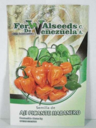 600 Semillas De Ají Picante Habanero, Sobre De 3 Gramos