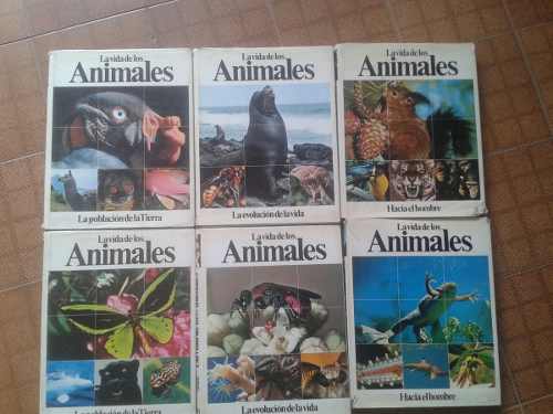 Colección De Libros Animales 6tomos