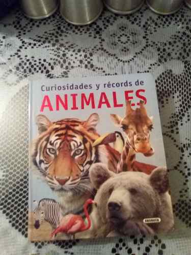Curiosidades Y Récord De Animales Libro 300 Paginas