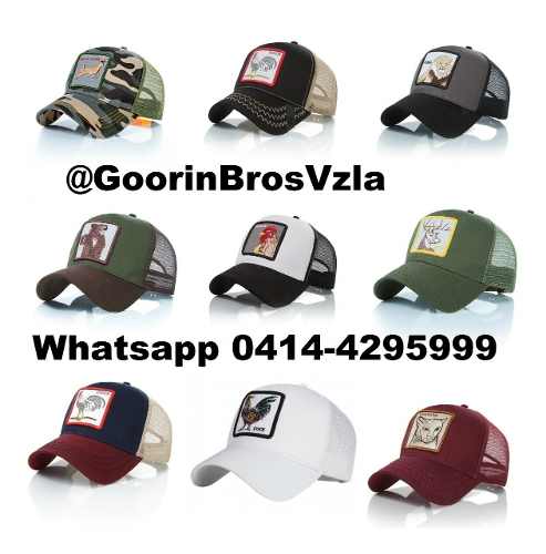 Gorras De Animales Goorin Bros Oferta 8 Trump Promoción