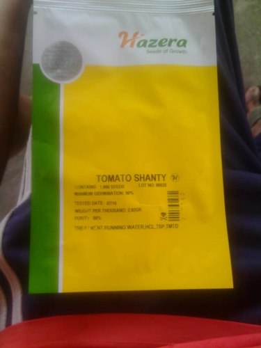 Semilla De Tomate Shanty