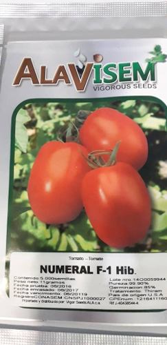 Semillas Tomate Numeral F-1 Híbridas Certificadas