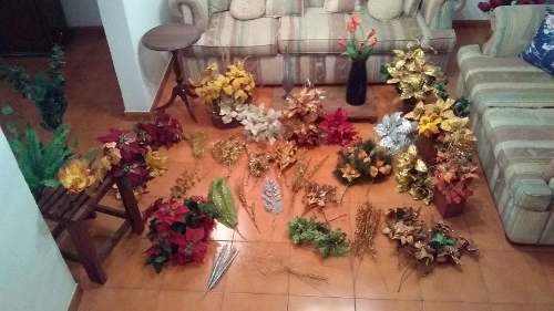 Lote De Flores De Navidad