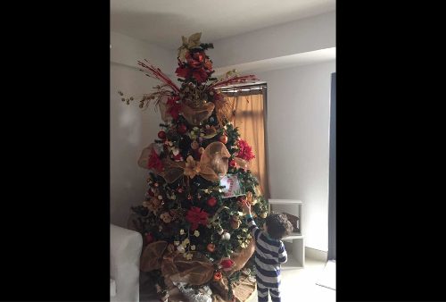 Árbol De Navidad