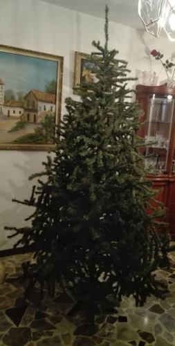 Arbol De Navidad Con Accesorios