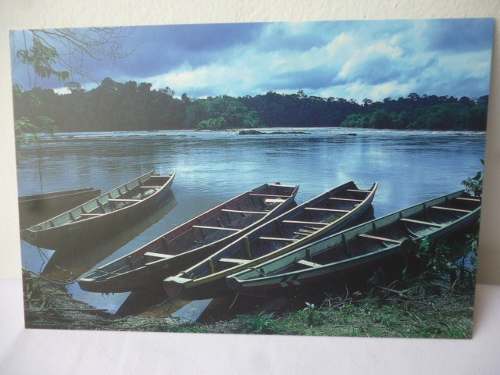 Postal El Caura Refugio De La Biodiversidad (2)