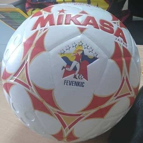 Balones Para Kickimball