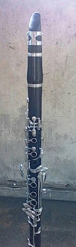 Clarinete Yamaha Ycl-250