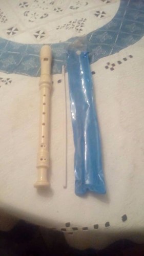 Flauta Convencional Con Forro Y Objeto Limpiante