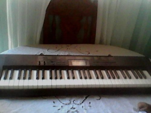 Teclado Casio Ctk-