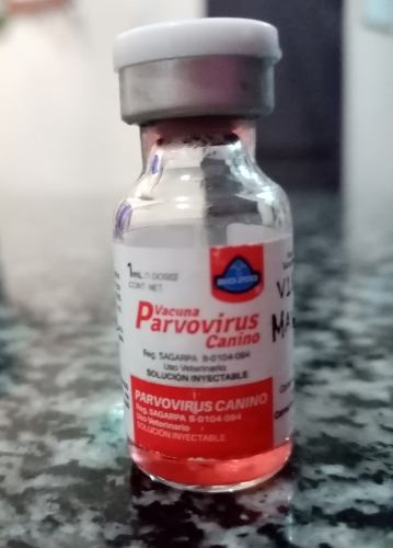 Vacuna Canina Parvovirus