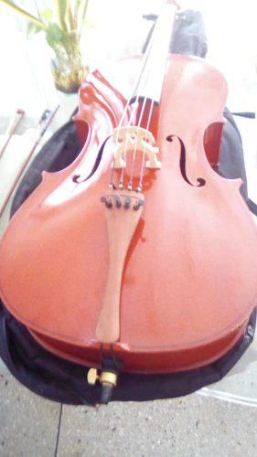 Cello 4/4 Con Retoques De Luthier Con Cuerdas Y Puente Adici