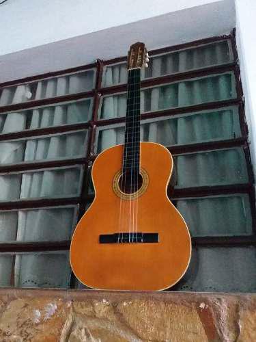 Guitarra Acústica Oiwa