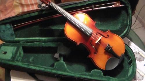 Violín Maxtone 3/4 (incluye Perrubia, Arco Y Estuche)