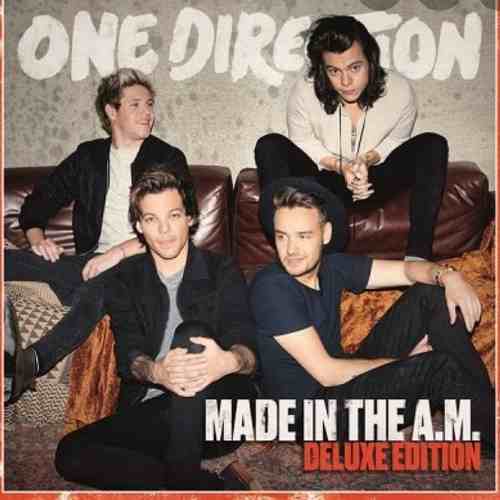 Cd One Direction Made The In Am