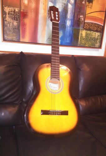 Guitarra Acustica Palmer Con Forro (70 Verdes)