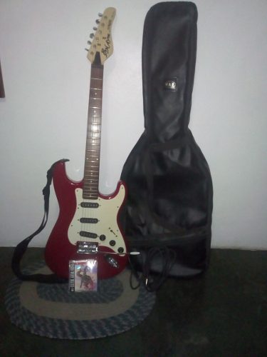 Guitarra Electrica Biscayne Especial Juego Cuerdas Y Forro