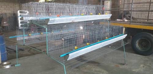 Jaulas Para Gallinas En Alambre Liso Galvanizado