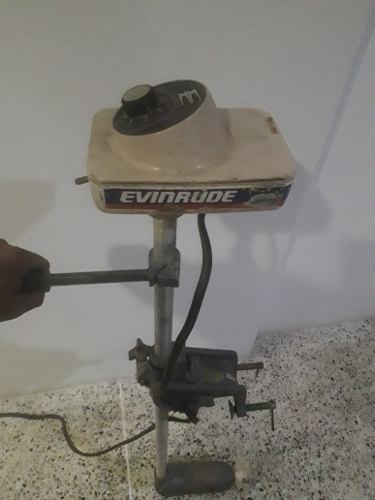 Motor Fuera De Borda Evinrude Electrico