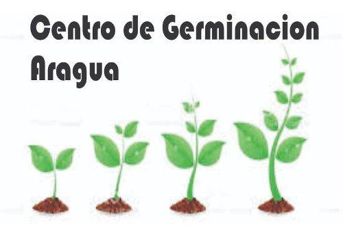 Centro De Germinacion Plantulas Certificadas F1 Variedades