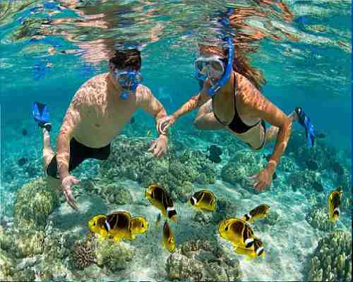 Snorkel Careta Buceo Accesorio Playa Ecology