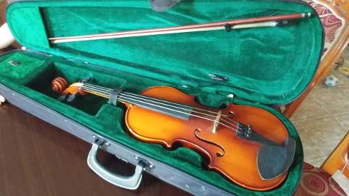 Violín Maxtone 3/4