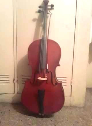 Violoncello 1/2 Marca Locto