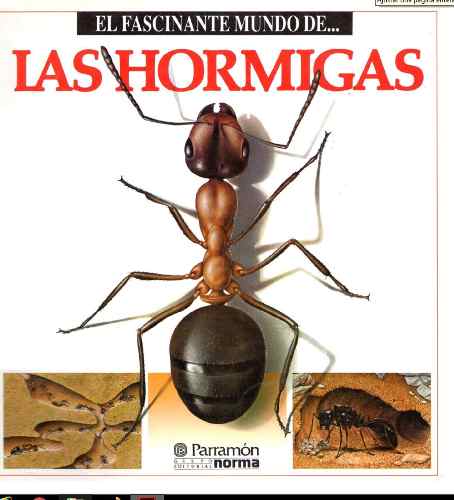 D - El Fascinante Mundo De.. Las Hormigas