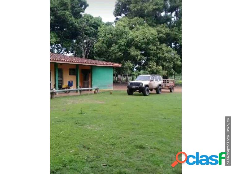 FINCA DE 410 HECTAREAS. EDO GUARICO