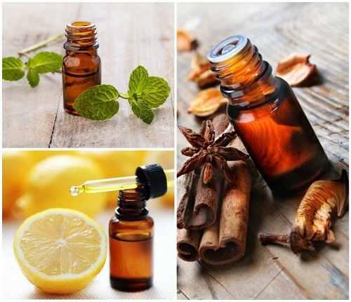 Aceites Esenciales Esencias Fragancias Cosmeticas Perfumes