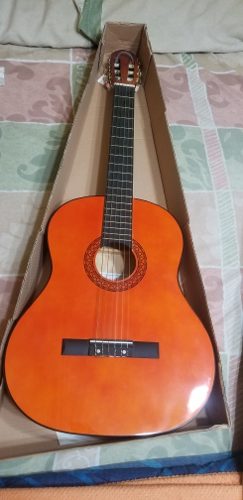 Guitarra Acustica Paganine
