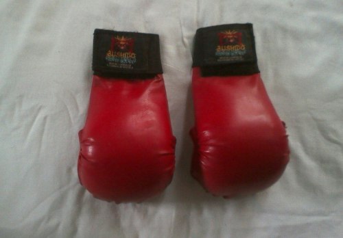 Guantes Artes Marciales