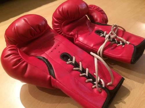 Guantes De Boxeo Muay Thai Kick Boxing 12 Onzas