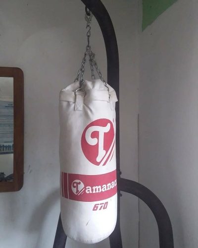 Saco De Boxeo Tamanaco Y Gancho