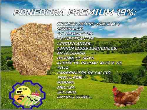 Alimento Para Gallina Ponedora 19% (alta Producción Aba)