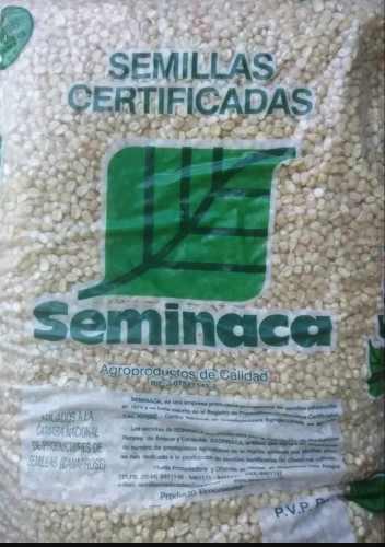 Semilla De Maiz Certificada. Seminaca