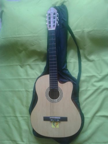 Guitarra Electroacustica Paganine Usada