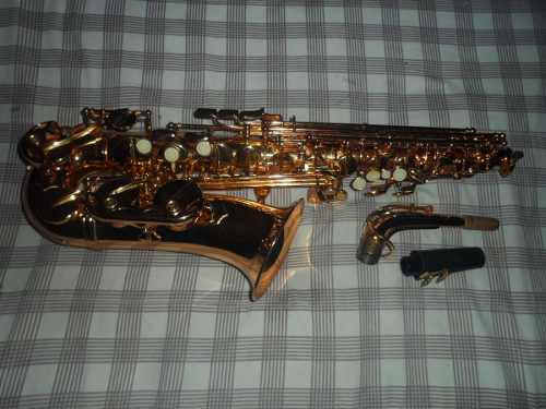 Saxo Alto Weril