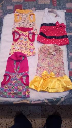 Vendo Vestidos Para Perrita Talla M Y 3 Franelas Talla M