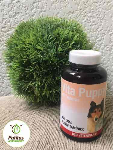 Vita Puppy Perros Y Gatos