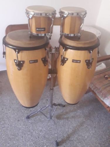 Congas & Bongo Maxtone