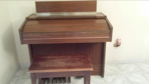 Organo Hammond