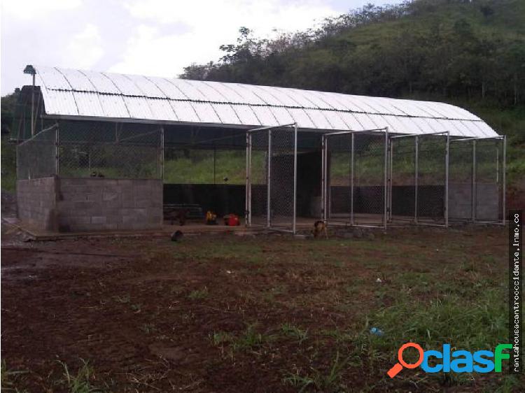 Terreno en Venta Nirgua RAHCO