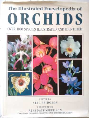 Libro: Illustrated Encyclopedia Of Orchids. Alec Pridgeon