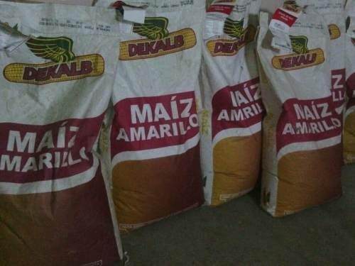 Maiz Amarillo Dekalb  Importado (75 Vrd)