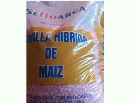 Semilla De Maiz Amarillo
