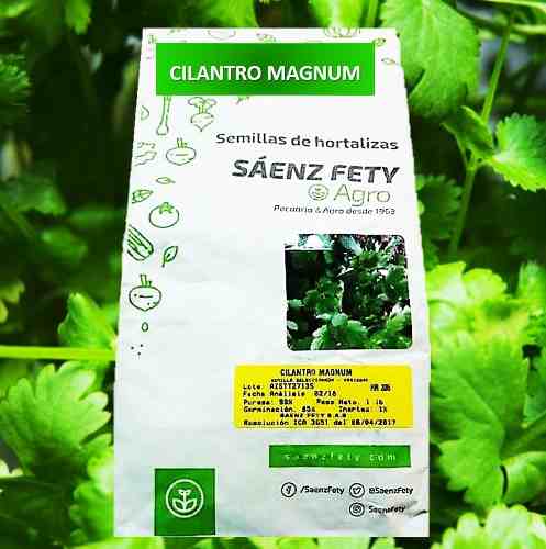 Semillas De Cilantro Magnum 500gr