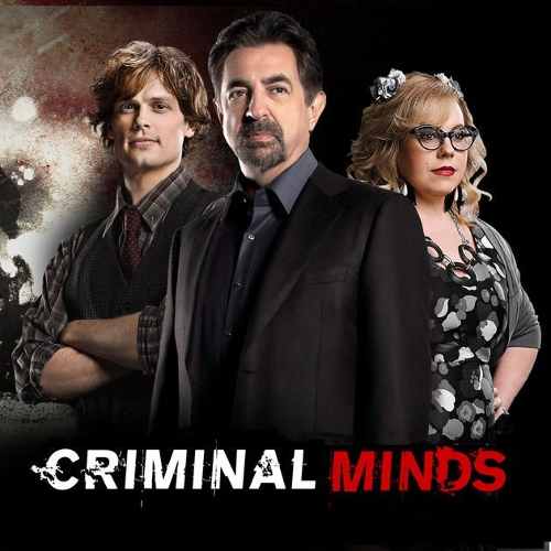 Criminal Minds Series Peliculas Tv Digital Full Hd