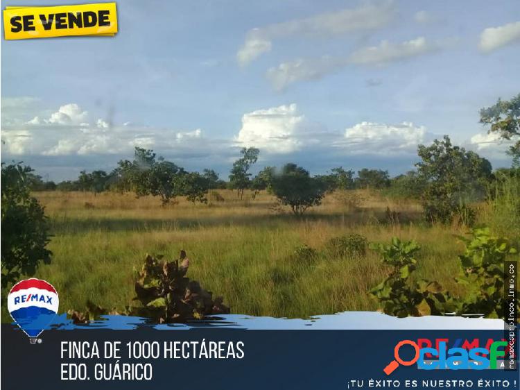 FINCA DE 1000 HECTÃREAS. - EDO GUARICO